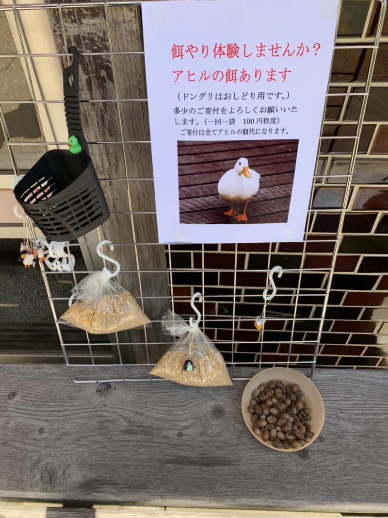 湯原の街巡り その２ 公式 岡山湯原温泉の料理旅館 八景